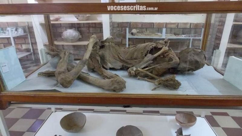 El Museo “Tulio Robaudi”, una de las atracciones en Tinogasta