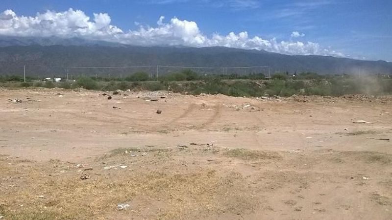 Multas más severas para vecinos que alimenten basurales
