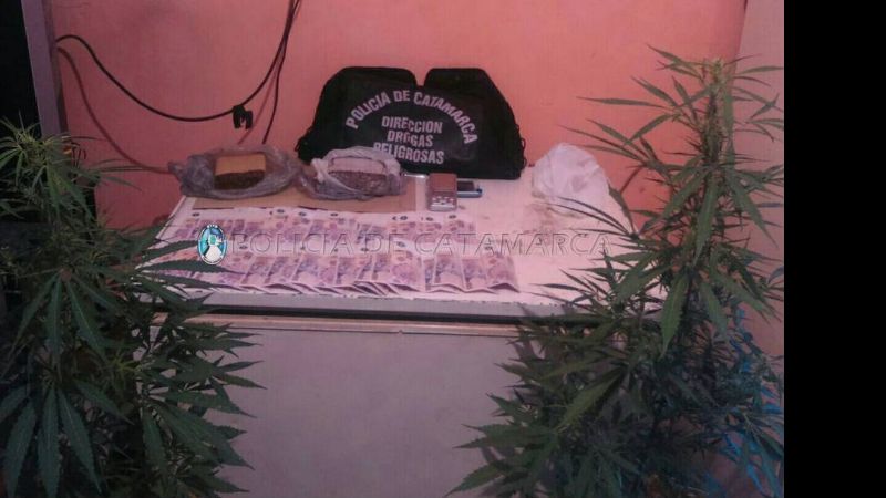 Duro golpe a la droga en Valle Viejo