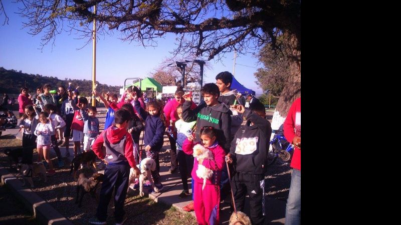 Exitosa y divertida primera carrera atlética con mascotas