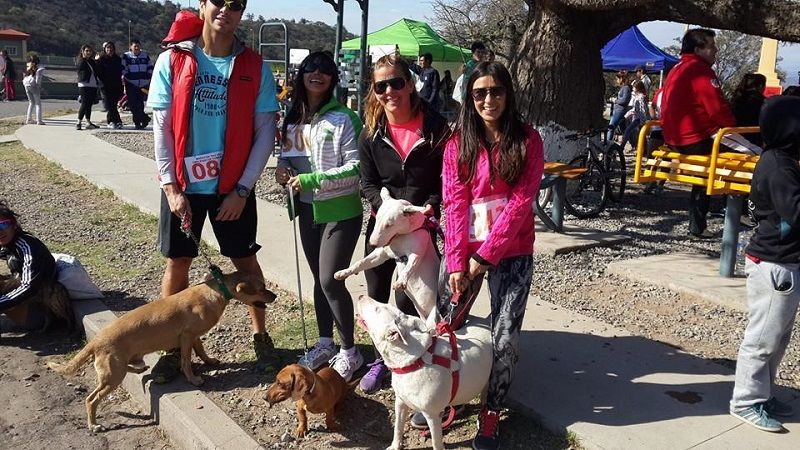 Exitosa y divertida primera carrera atlética con mascotas