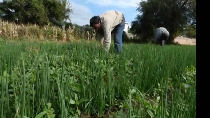 Crédito para microemprendedores de Valle Viejo