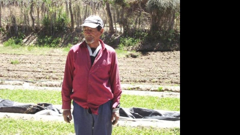 Emergencia agropecuaria: Así quedaron las producciones en Santa María