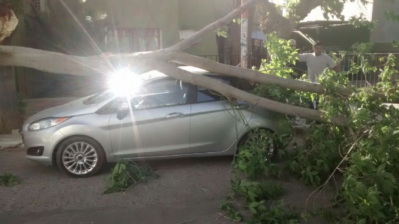 El viento provocó que una rama cayera sobre un auto