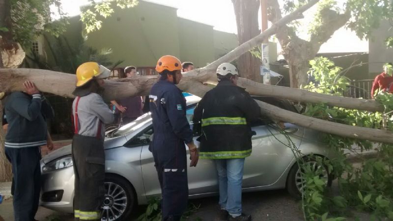 El viento provocó que una rama cayera sobre un auto