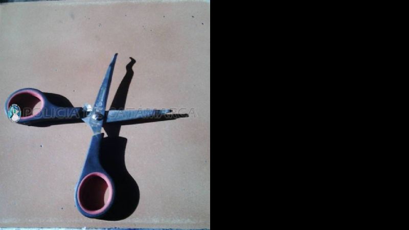 Aprehendido tras un desorden