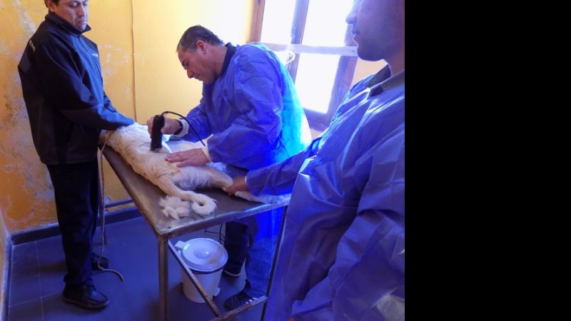 Llegó el QUICO móvil y recorrerá Santa María