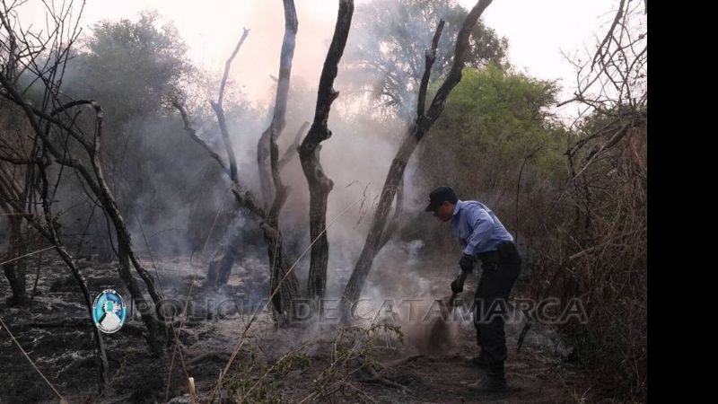 Voraz incendio en Los Altos