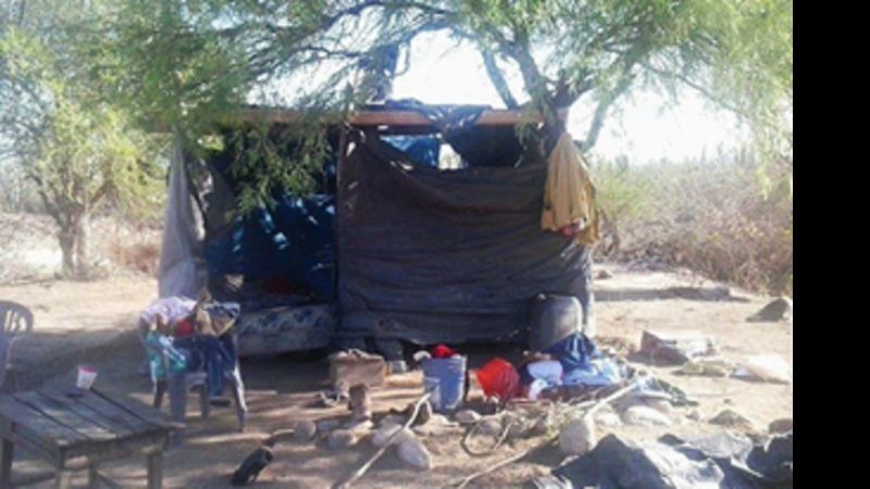 Están bajo un árbol y Páez no los ayuda