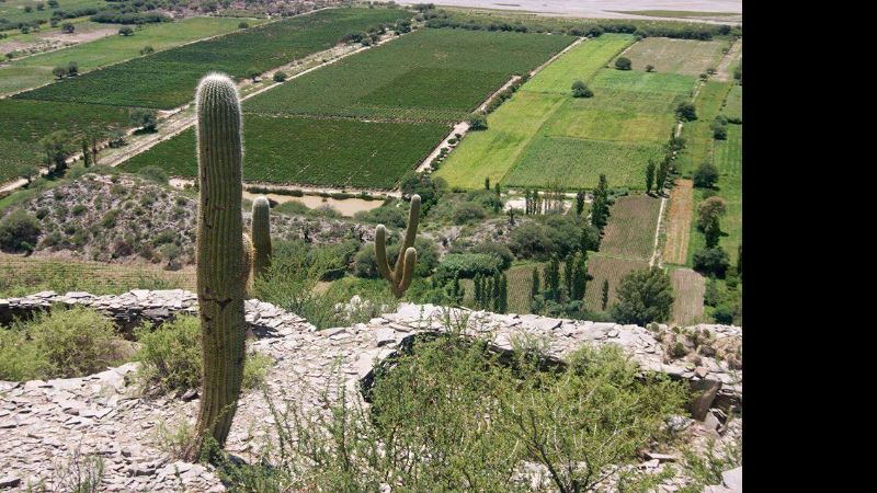 Iniciativa de transferencias de innovación