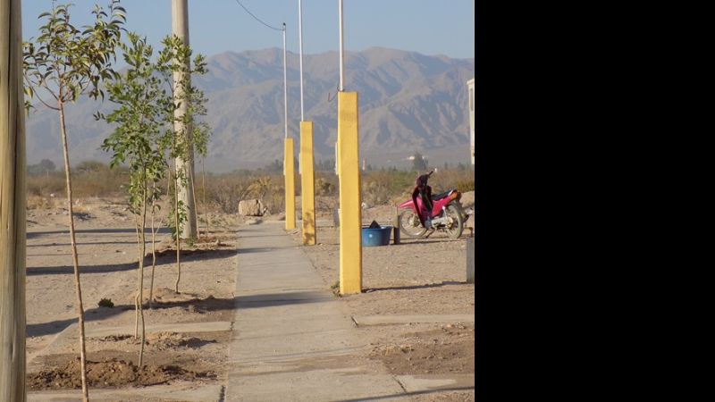 Completaron forestación en los nuevos barrios en Santa María