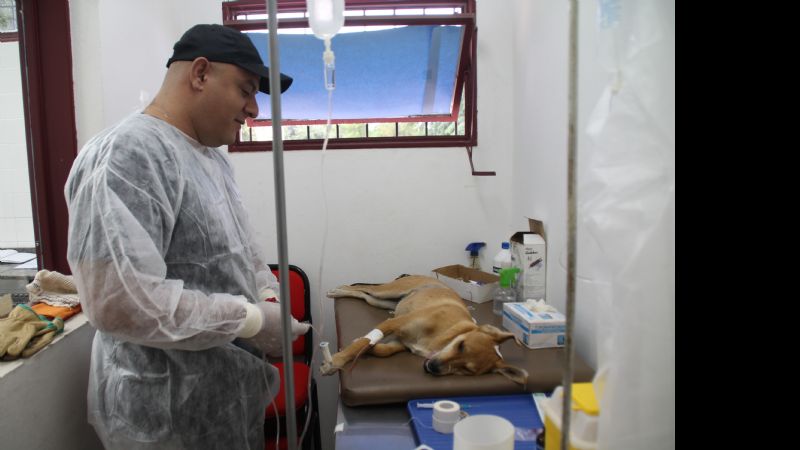 Exitosa jornada de atención médica veterinaria