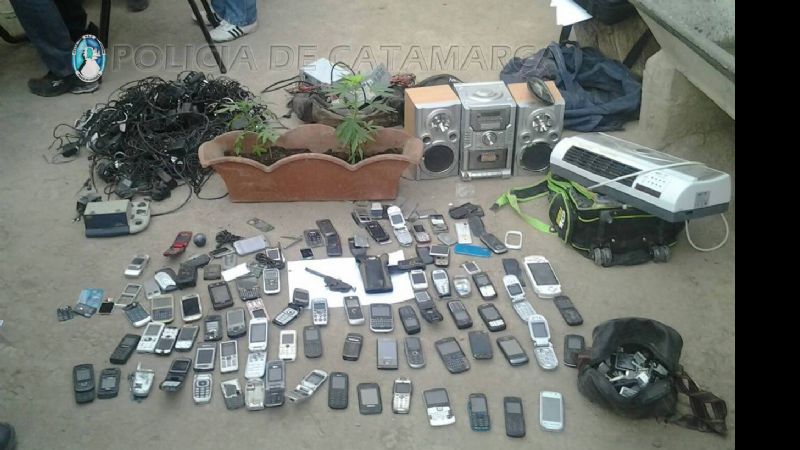 Secuestran gran cantidad de elementos y plantas de marihuana en Santa María