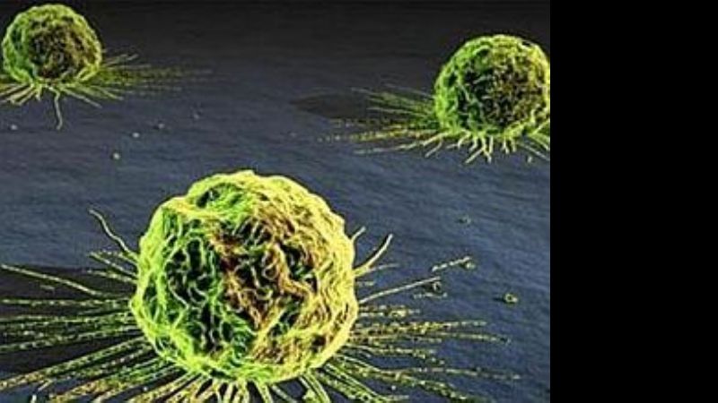 Tras alerta por embutidos, OMS actualizó el listado de agentes cancerígenos