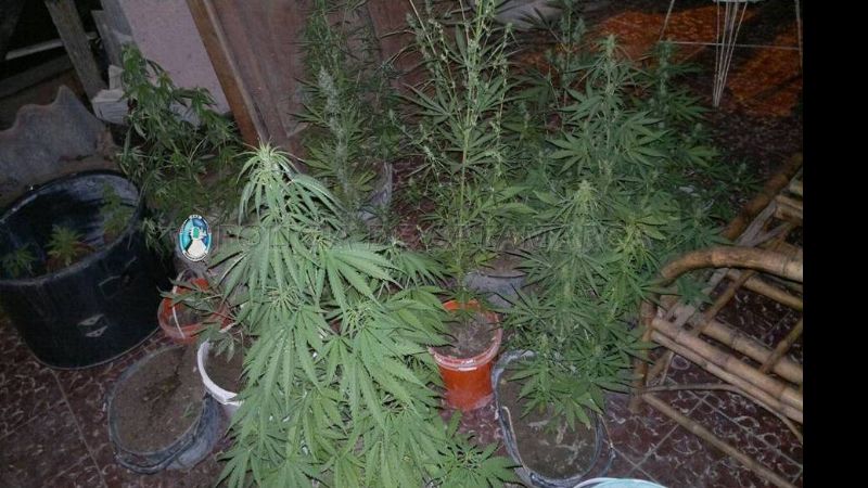 Desbaratan otro punto de venta de drogas en la Capital