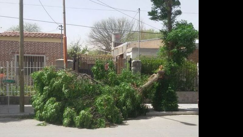 Completan tareas de limpieza tras el temporal