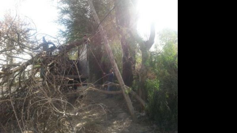 Completan tareas de limpieza tras el temporal