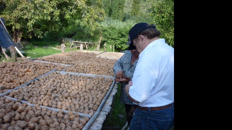 Jornadas de actualización técnica en nogal y pecán