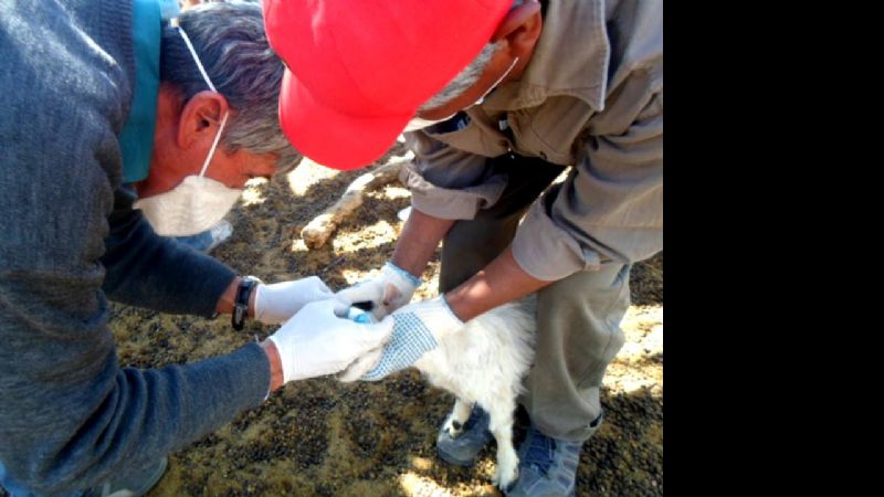 Más asistencia a productores santamarianos