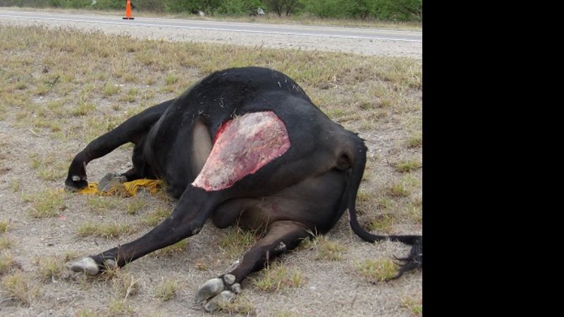 Pericias en el lugar del accidente