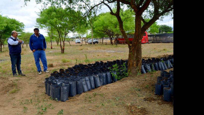 El vivero municipal de Valle Viejo es una realidad