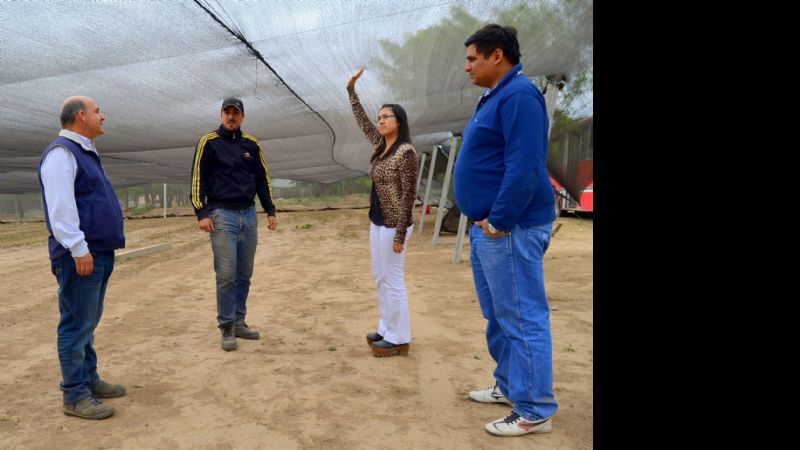 El vivero municipal de Valle Viejo es una realidad