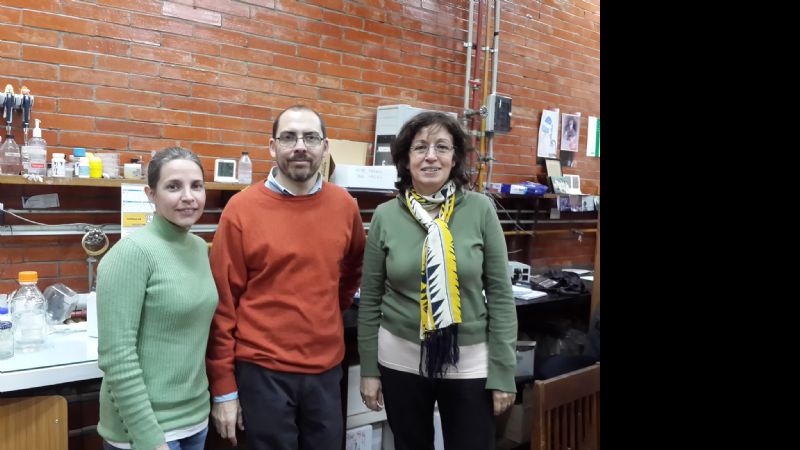 Una molécula para tratar patologías oculares y virales