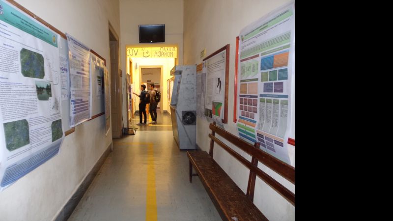 Exposición de poster en Facultad de Tecnología concitó notable interés