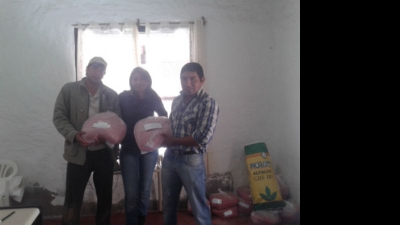 Asistencia municipal a productores afectados por heladas