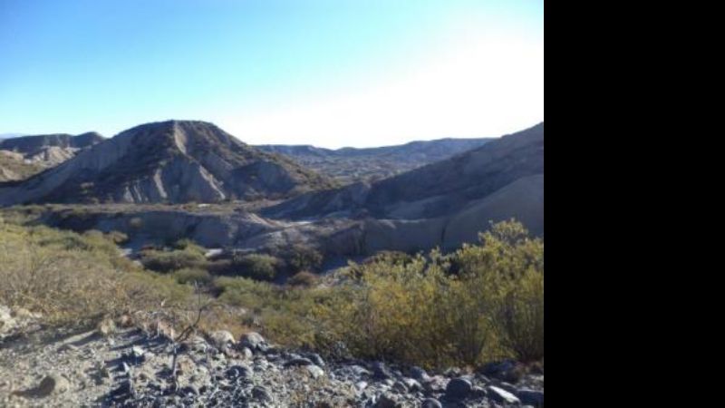 Limpieza de baldíos y mejoras en veredas
