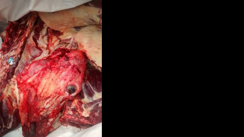 Secuestran carne vacuna y elementos de faena en Santa Rosa