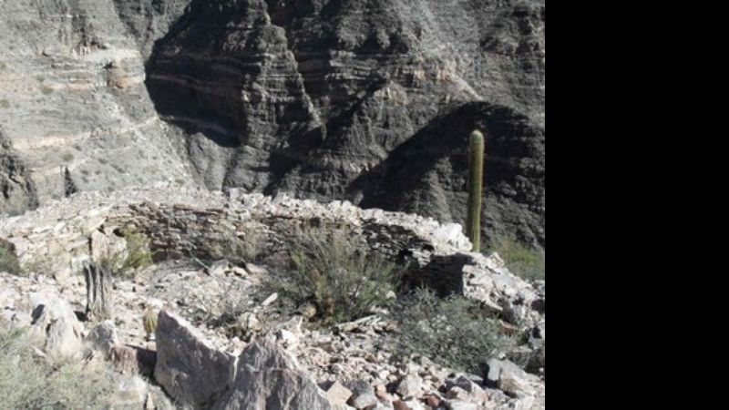 Puesta en valor del yacimiento “Rincón Chico”