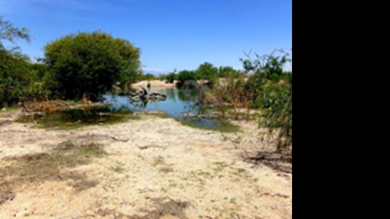 Alarma por nuevas filtraciones de residuos cloacales