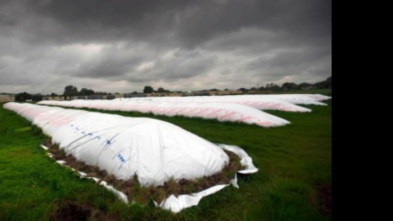 Productores demoran la liquidación de divisas a la espera del 10 de diciembre