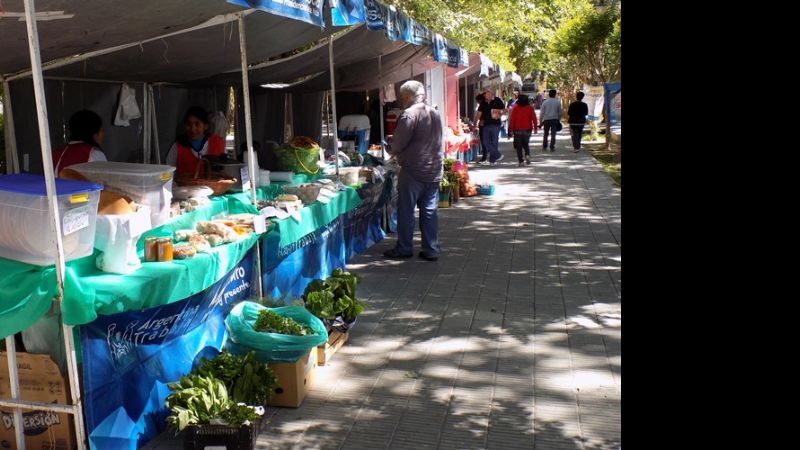 La feria “Arco Iris” cumplirá dos años