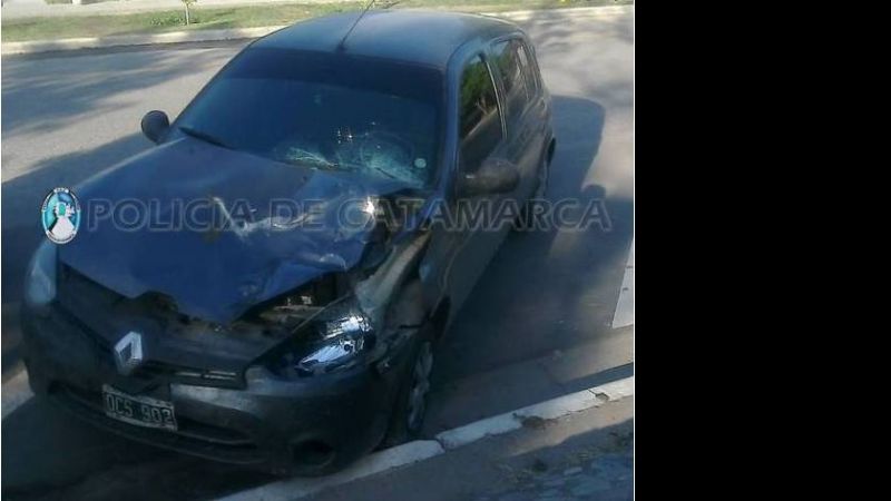 Un auto chocó con un animal en Chumbicha