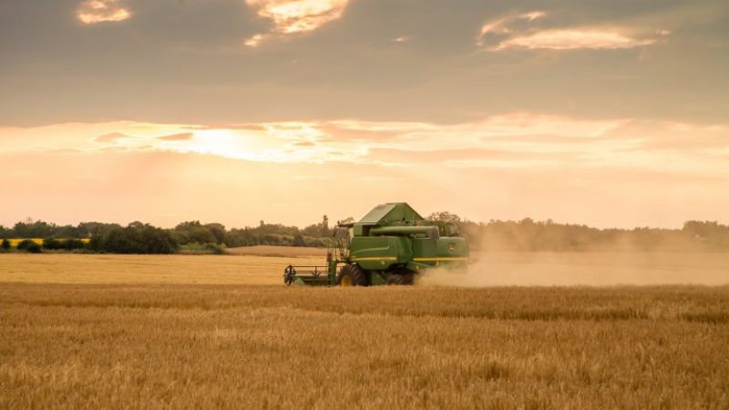 Eliminarán las retenciones al maíz, el trigo y la carne y bajarán las de la soja