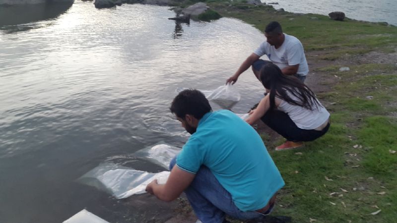 Se realizó la última siembra de alevines del año