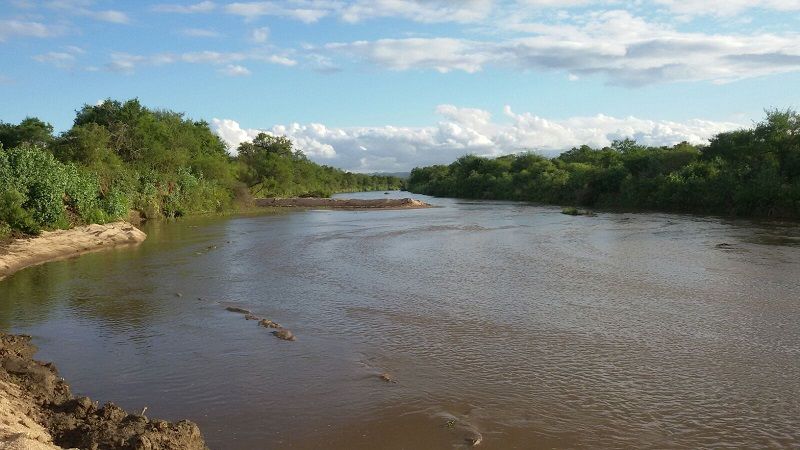 Tras la lluvia, la situación está controlada en Santa Rosa