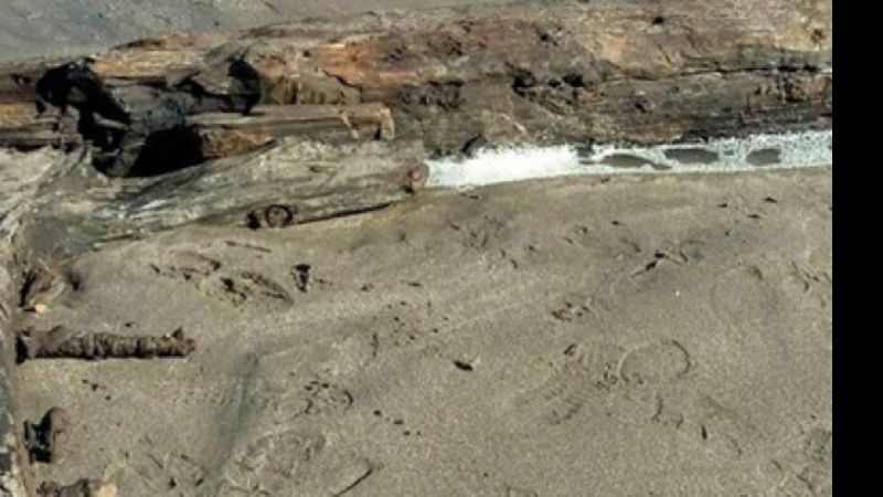 Aparecieron restos de un naufragio en la costa rionegrina: podrían ser de fines de siglo XIX