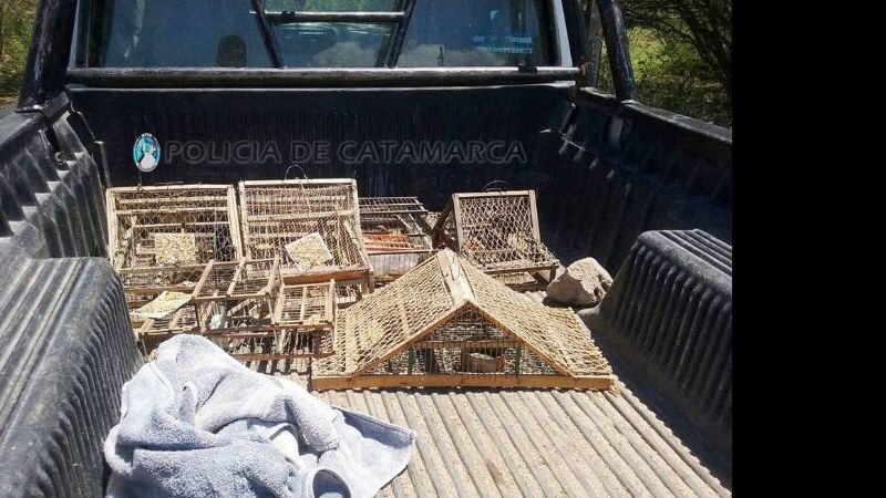 Secuestran aves silvestres y jaulas en puesto caminero de Nueva Coneta