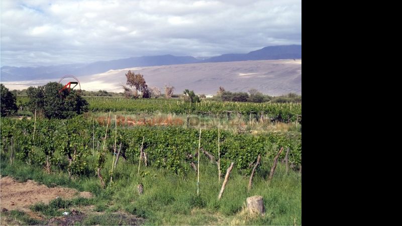 Pérdidas económicas en Medanitos tras caída de granizo