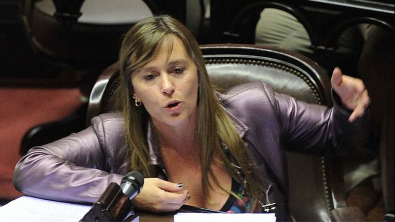 "Si Macri manda a reprivatizar YPF y las AFJP, vamos a votar en contra"