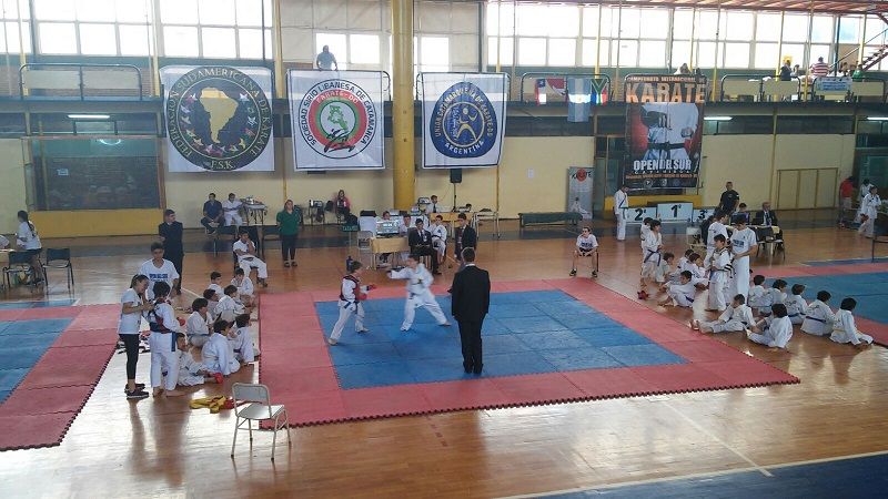 Karatecas catamarqueños obtuvieron 76 medallas en el Open del Sur