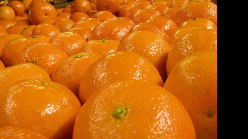 Las mandarinas lideran ventas entre cítricos