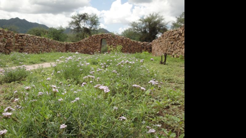Presentan libros y resultados de investigaciones sobre El Shincal