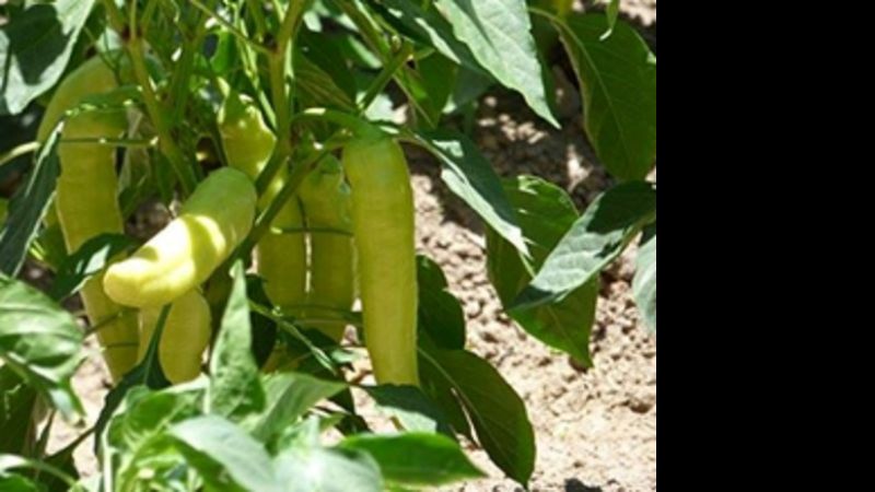 “No queremos que nos metan la mano en el bolsillo”