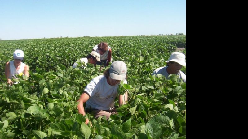 Exportadores facturarían unos $2200 millones más por la suba del dólar