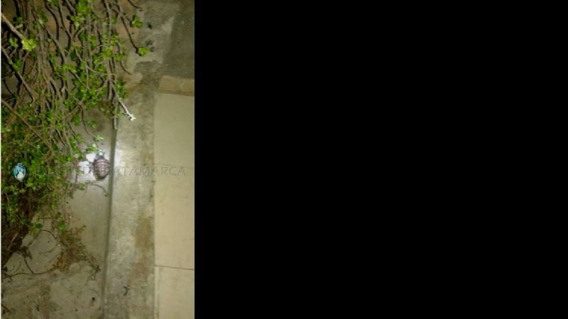 Encontraron una granada en el cantero de su casa