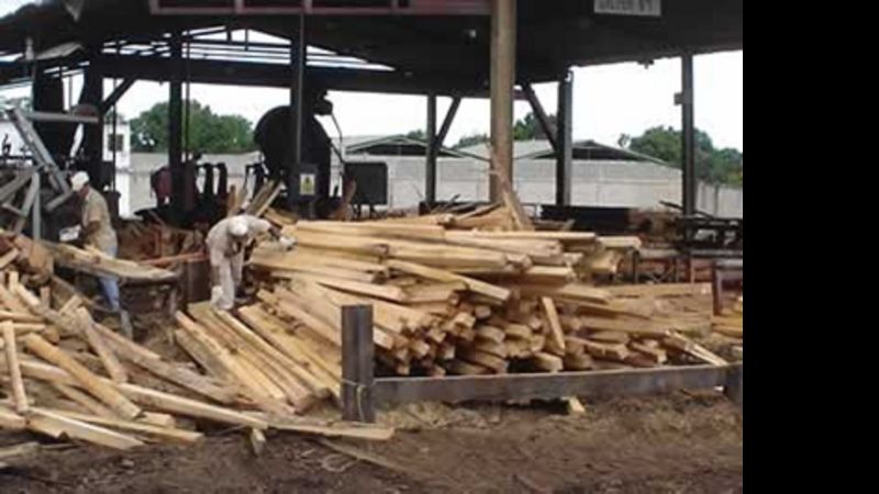 La delincuencia no le da tregua a la familia Sánchez